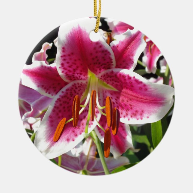 Pink lily pink floral pink flower tropical flower ceramic ornament (Front)