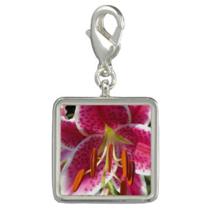 Pink lily pink floral pink flower tropical flower charm