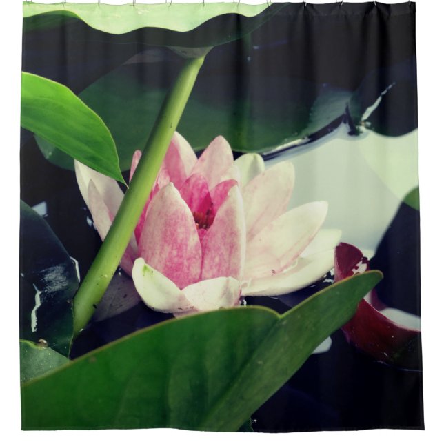 Pink Lotus (Front)