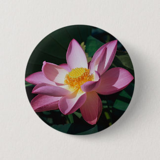Pink Lotus 2 Inch Round Button
