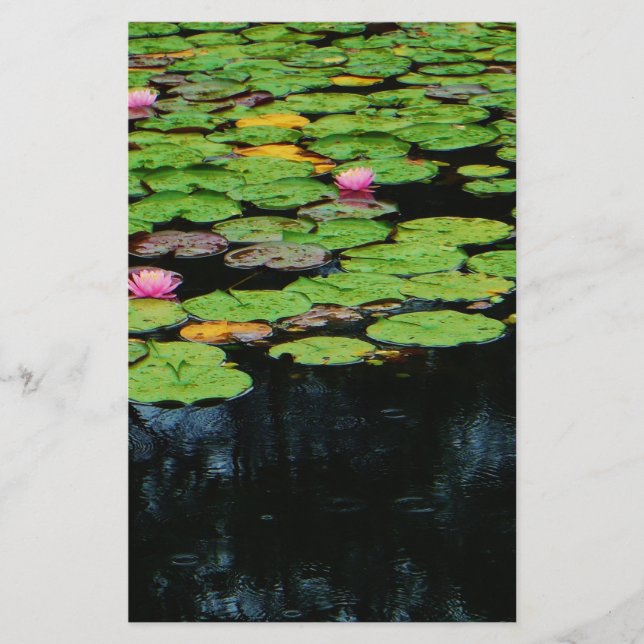 pink lotus black (Front)