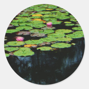 pink lotus black classic round sticker