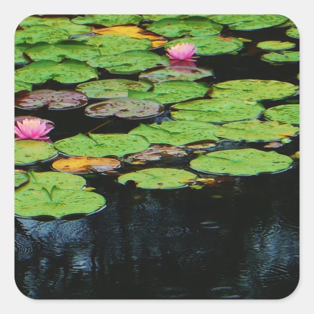 pink lotus black square sticker (Front)