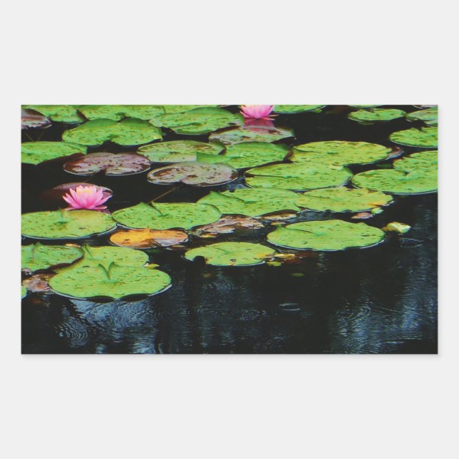pink lotus black sticker (Front)