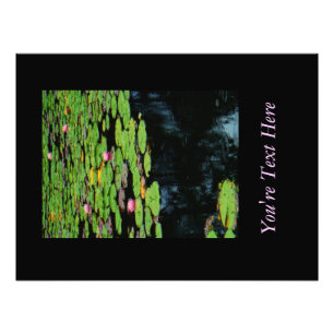 pink lotus black water photo print