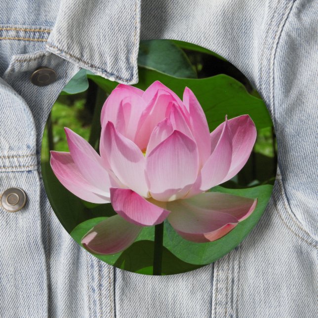 Pink Lotus Bloom 6 Inch Round Button (In Situ)
