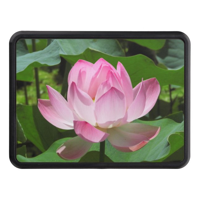 Pink Lotus Bloom Trailer Hitch Cover (Front)