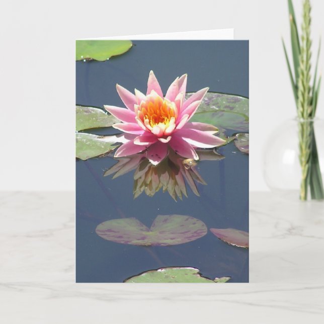 "Pink Lotus Blossom" greeting card (Front)