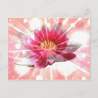pink lotus blossom postcard