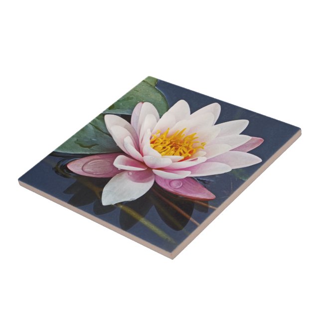 "PINK LOTUS BLOSSOM WITH WATER DROPLETS ON PETALS TILE (Side)