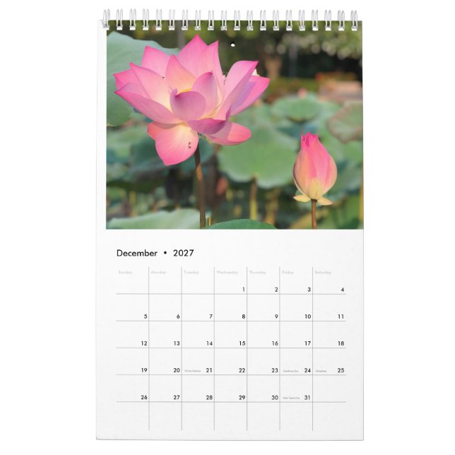 Pink Lotus Calendar  (Dec 2027)