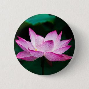 Pink Lotus Flower 2 Inch Round Button
