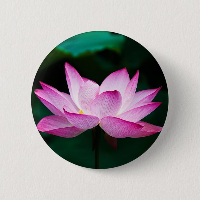 Pink Lotus Flower 2 Inch Round Button (Front)