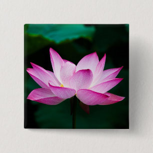 Pink Lotus Flower 2 Inch Square Button
