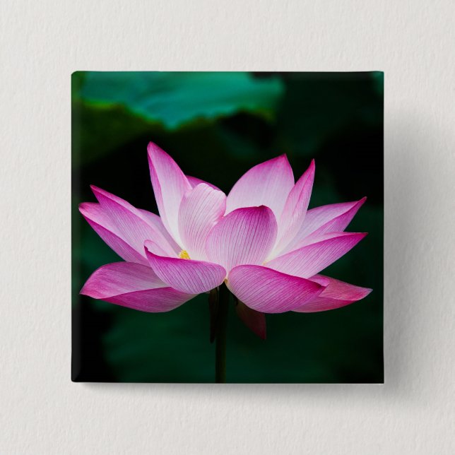 Pink Lotus Flower 2 Inch Square Button (Front)