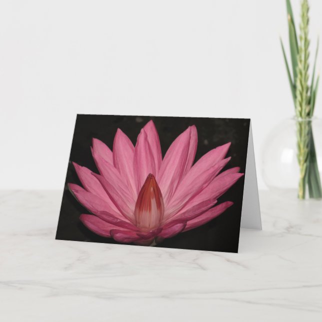 pink lotus flower card (Front)