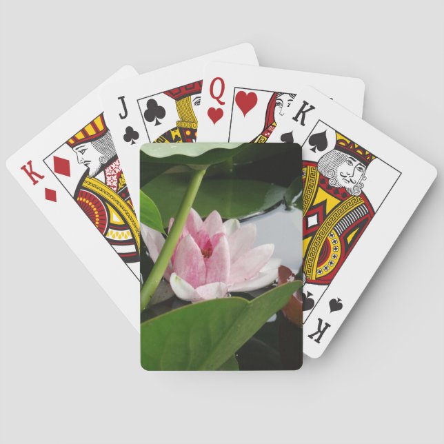 Pink Lotus Flower Cards (Back)