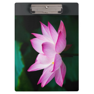 Pink Lotus Flower Clipboard