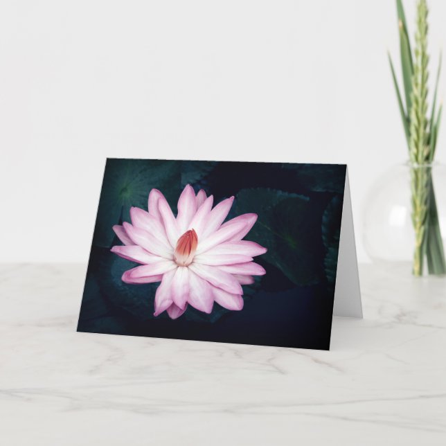 Pink Lotus Flower Greeting Cards (Front)