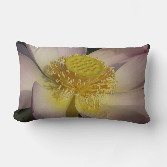 Pink Lotus Flower I Summer Floral Lumbar Pillow (Front)