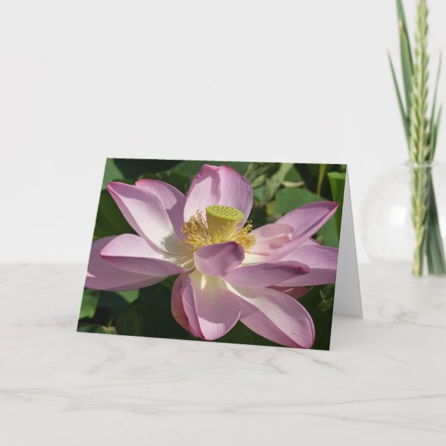 Pink Lotus Flower II Summer Floral Card (Front)