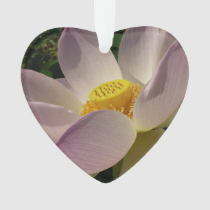 Pink Lotus Flower III Summer Floral