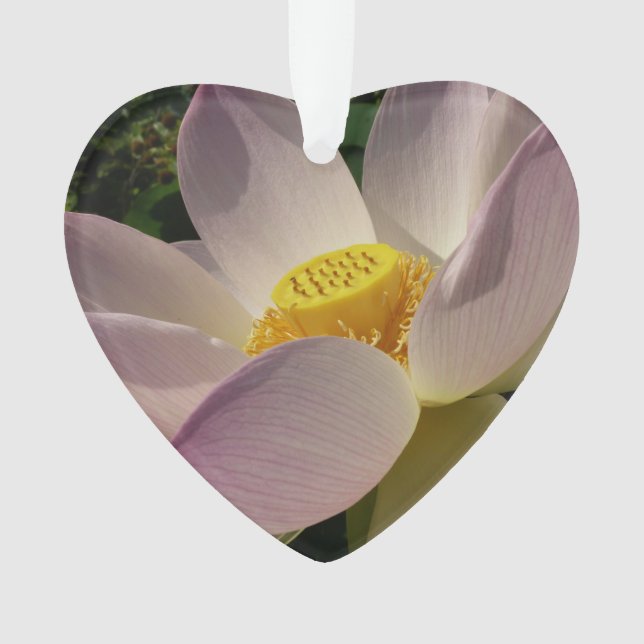 Pink Lotus Flower III Summer Floral (devant)