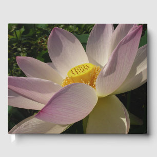 Pink Lotus Flower III Summer Floral Guest Book
