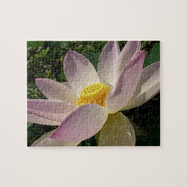 Pink Lotus Flower III Summer Floral Jigsaw Puzzle (Horizontal)
