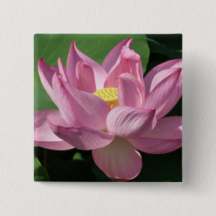 Pink Lotus Flower IV 2 Inch Square Button