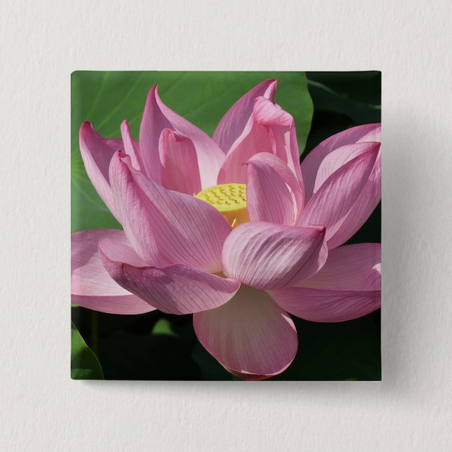 Pink Lotus Flower IV 2 Inch Square Button (Front)