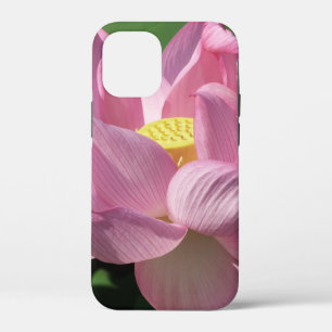 Pink Lotus Flower IV iPhone 12 Mini Case