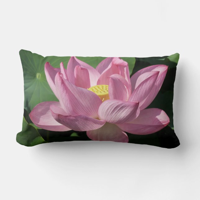 Pink Lotus Flower IV Lumbar Pillow (Front)