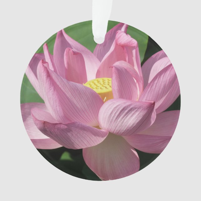 Pink Lotus Flower IV Ornament (Front)