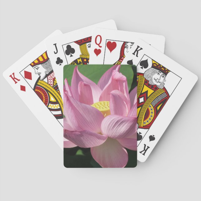 Pink Lotus Flower IV Playing Cards (Back)