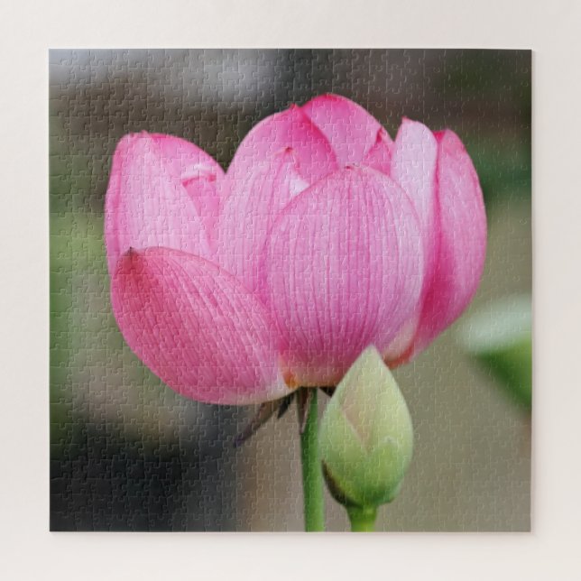 Pink Lotus Flower Jigsaw Puzzle (Vertical)