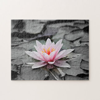 Pink Lotus Flower  Jigsaw Puzzle