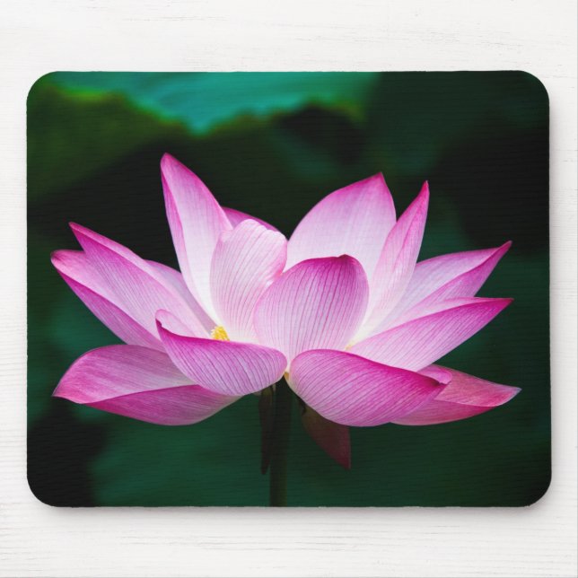 Pink Lotus Flower Mouse Pad (Front)