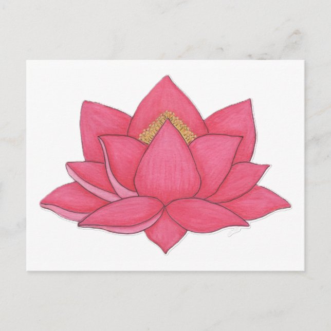 Pink Lotus Flower Postcard (Front)