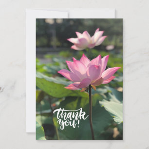 Pink Lotus Flower Thank you  Card
