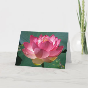 Pink Lotus - Greeting Card
