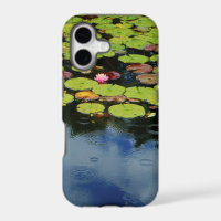 Pink lotus in Rain