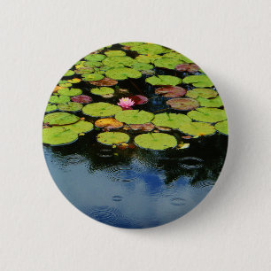 Pink lotus in Rain 2 Inch Round Button