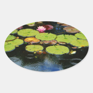 Pink lotus in Rain Oval Sticker