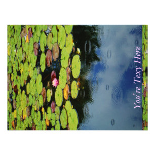 Pink lotus in Rain Photo Print