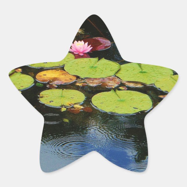 Pink lotus in Rain Star Sticker (Front)