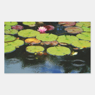 Pink lotus in Rain Sticker