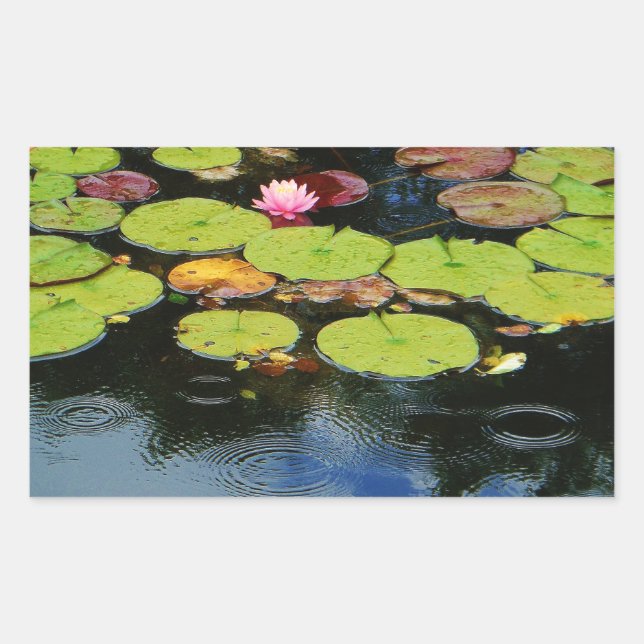 Pink lotus in Rain Sticker (Front)