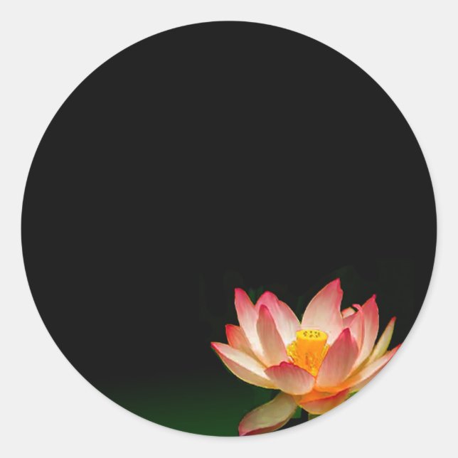 Pink lotus sticker, personalize it classic round sticker (Front)