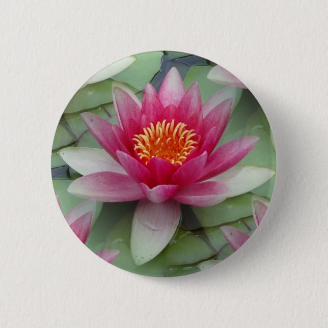 Pink Lotus Water Lily 2 Inch Round Button (Front)